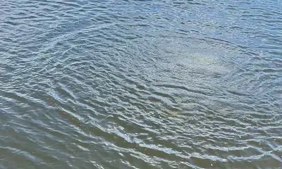 South Bay Report Video 0