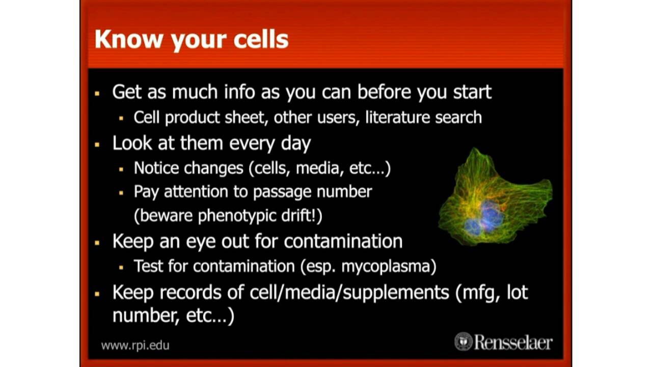 How to Set Up & Run a Successful Cell Culture Lab inar NuAire