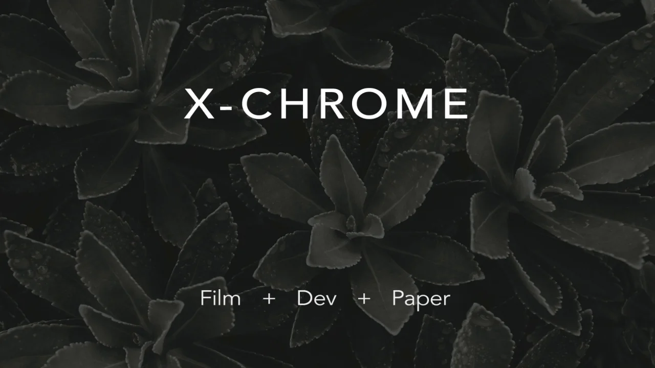 X-CHROME: The Missing Black & White Studio for Lightroom - Nate Photographic