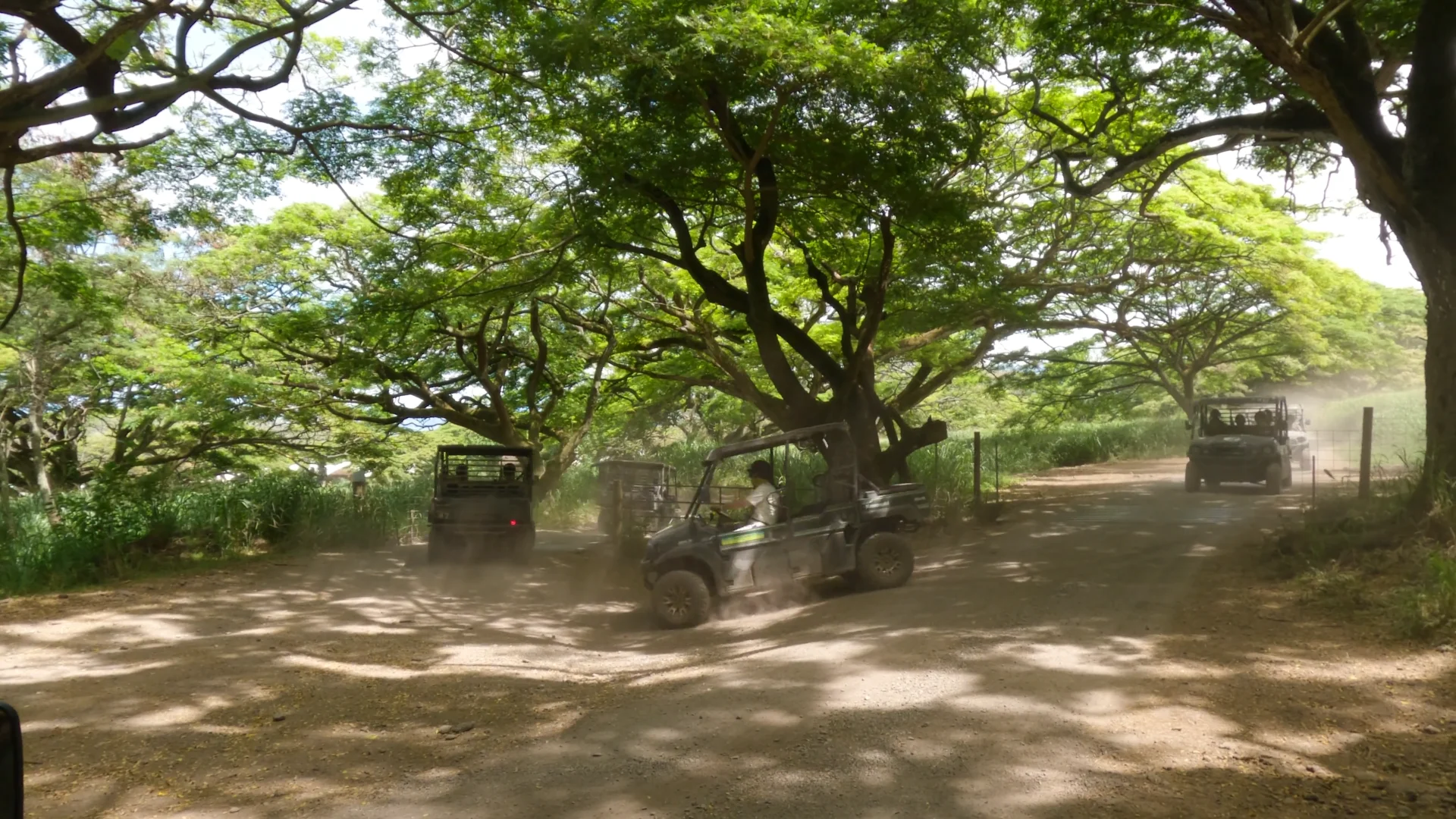 Jurassic Valley UTV Ride (Kualoa Ranch)