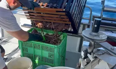 Perth Report Video 0