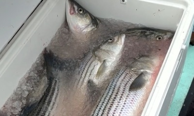 3rd Excursion with Capt Ron!