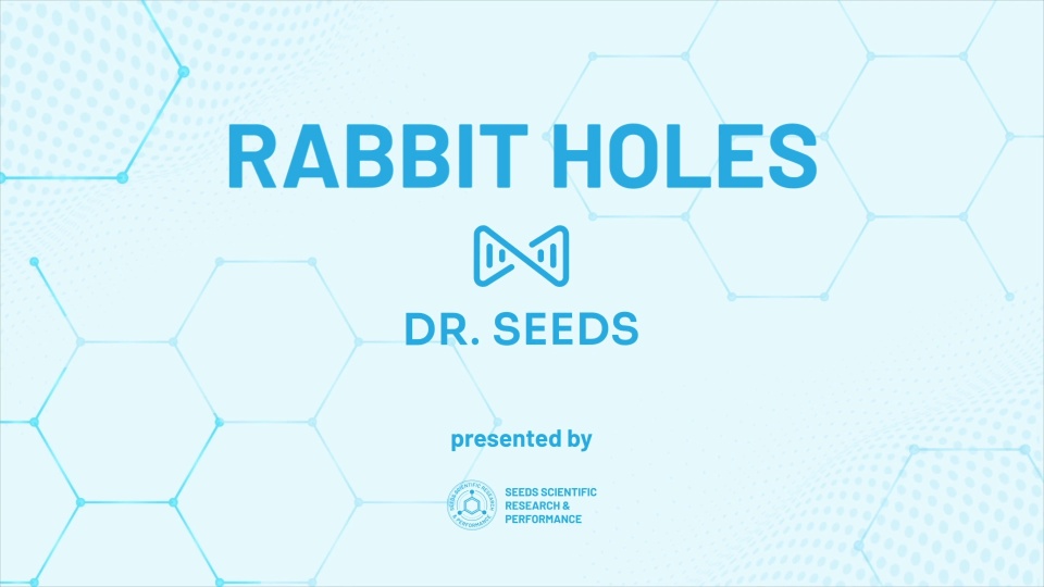 Rabbit Holes – November 2025