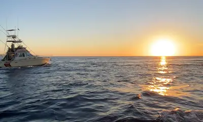 Cabo San Lucas Report Video 0