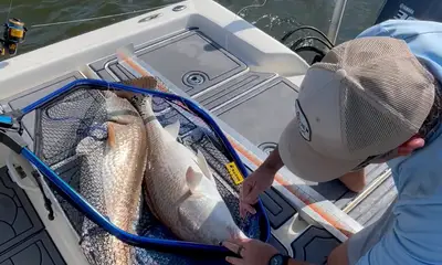 Jacksonville Beach Report Video 0