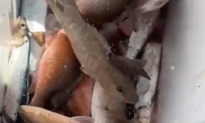 Clewiston Report Video 3
