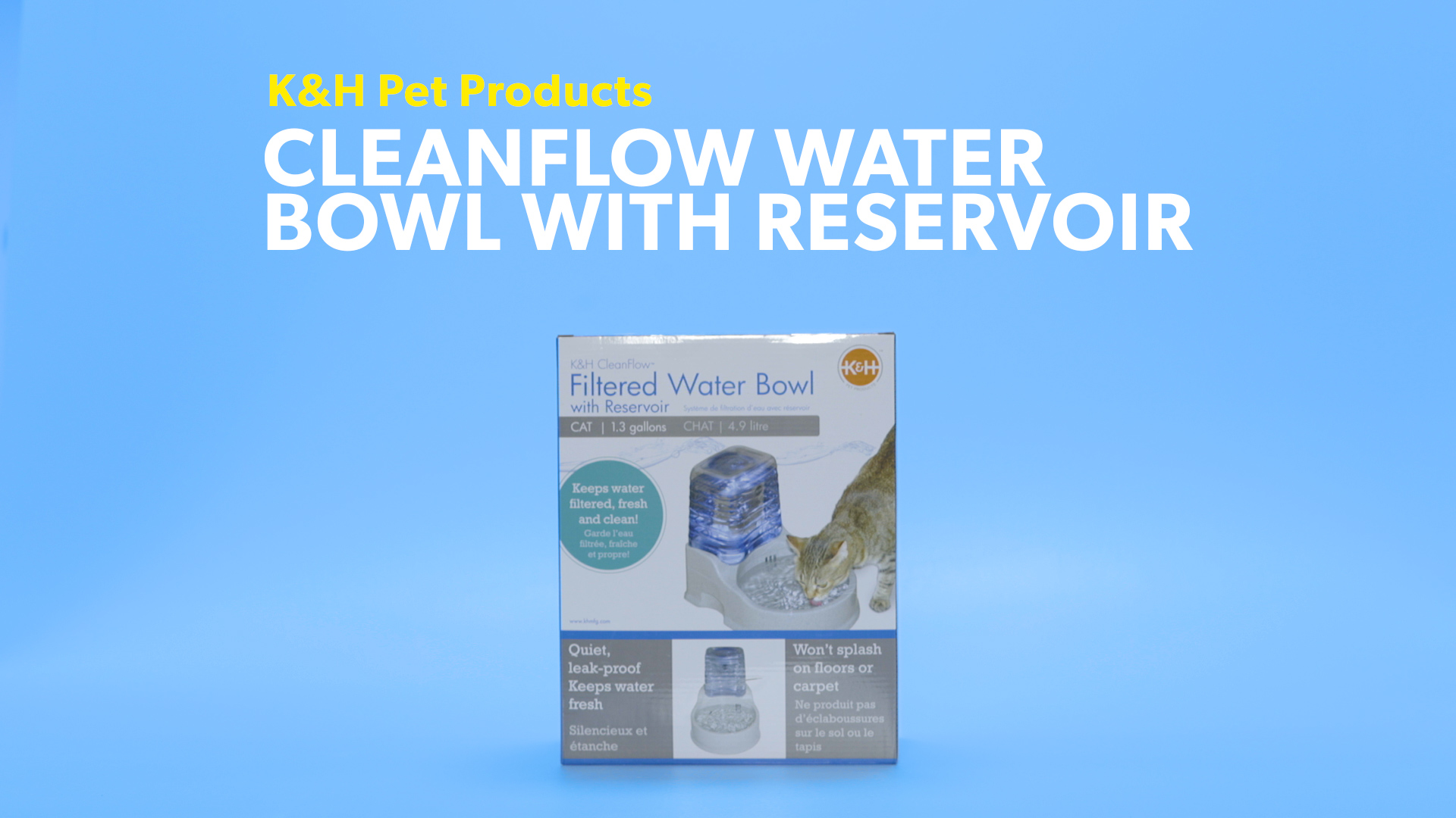 Cleanflow hotsell water bowl