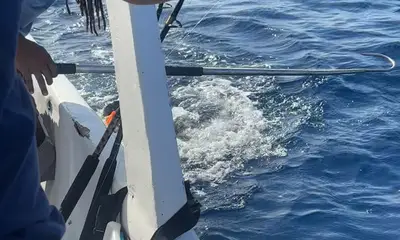 Capt. Elmer will put you on the fish!!