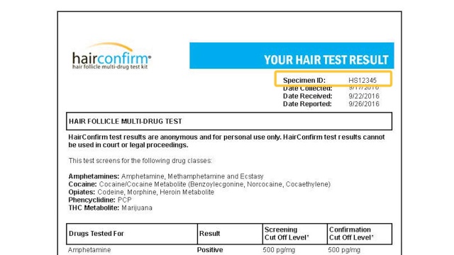 Hairconfirm Hair Follice Drug Test Kits How To Read Your Results