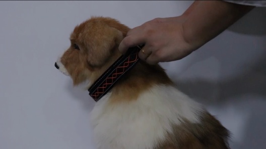 MEGAPAWS Light Up Nylon Dog Collar