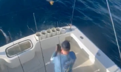 We catch shark!!!!!!!!!!!!