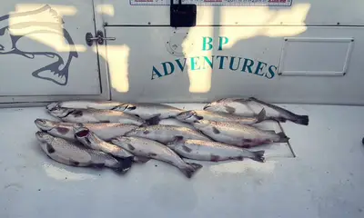 Lake Ontario Oswego NY