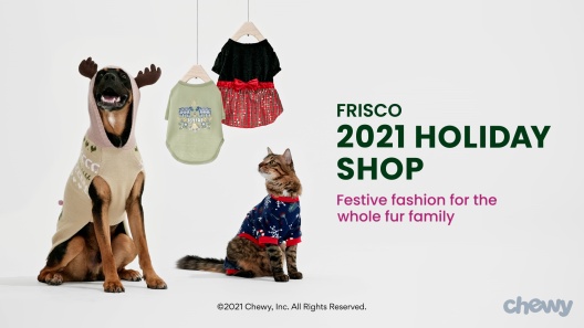 Play Video: Learn More About Frisco From Our Team of Experts