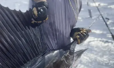 St. Thomas Report Video 2