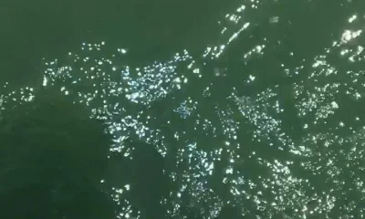 Poquoson Report Video 0