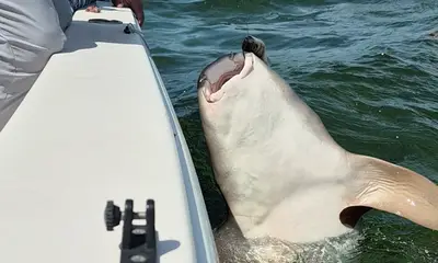 Thank you for the best Birthday present