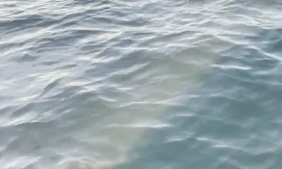 Narragansett Bericht Video 0