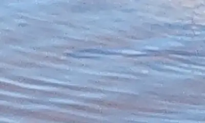 Panama City Report Video 0