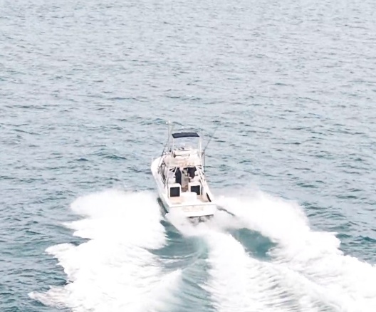 Business Card: Yokley Sportfishing