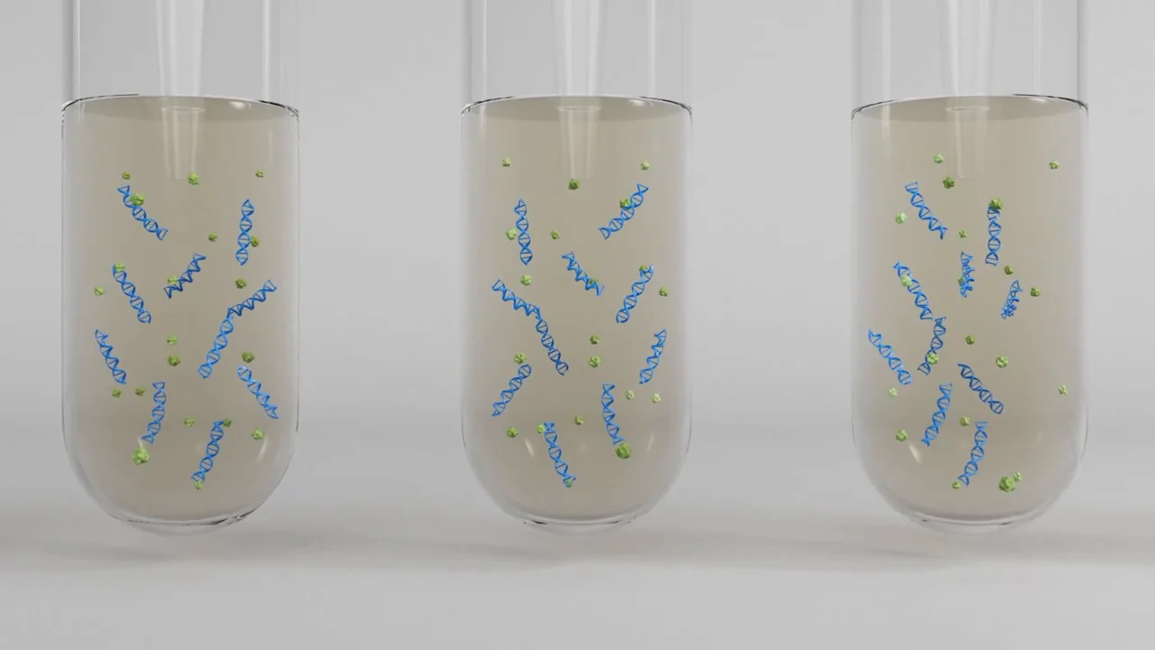AMPure XP | PCRなど酵素反応後のDNA精製 AMPure XP | PCRなど酵素反応後のDNA精製