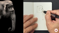 Lesson image