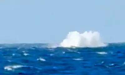 Awesome day of fishing on a solid comfortable boat with an attentive crew and captain 