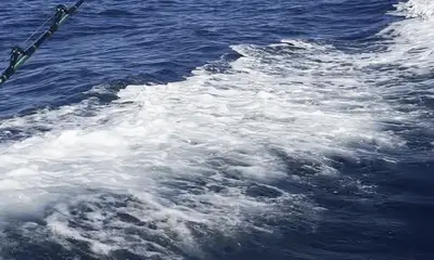 Tavira Видео отчет 2