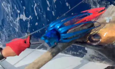 Haleiwa Report Video 0