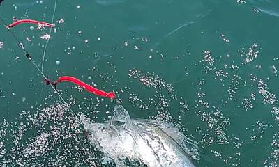 Montauk fishing is on fire!