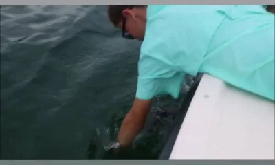 Miami Report Video 0