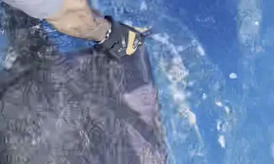 St. Thomas Report Video 3