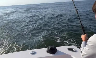 Wanchese Report Video 0