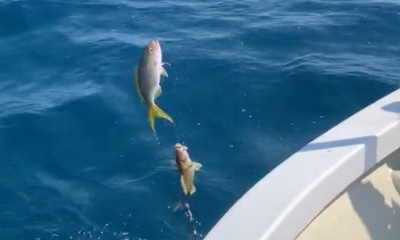 Boynton Beach Report Video 0