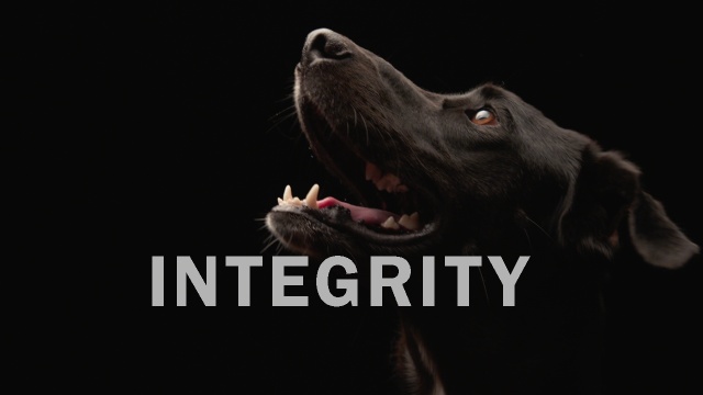 What Integrity Means to Redbarn video thumbnail