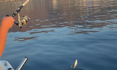 An unforgettable morning on the water!
