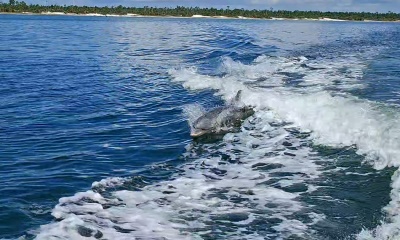 Memorable wildlife excursion 