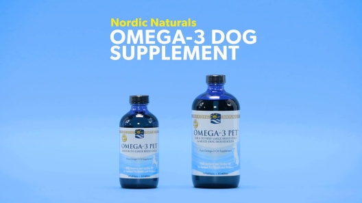 Nordic Naturals Omega-3 Pet – Fun Time Dog Shop