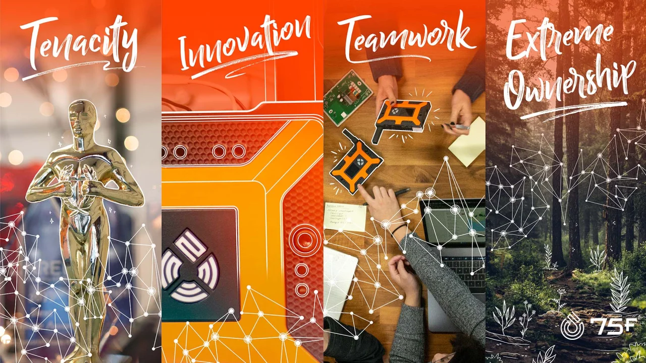 75F Values Posters