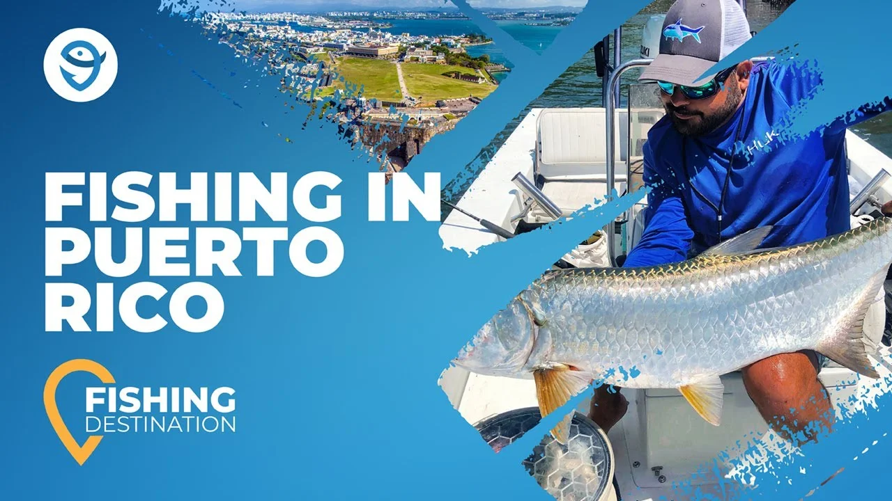 Puerto Rico Fishing: The Complete Guide for 2024