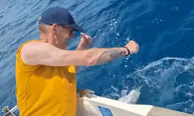 awesome experience 