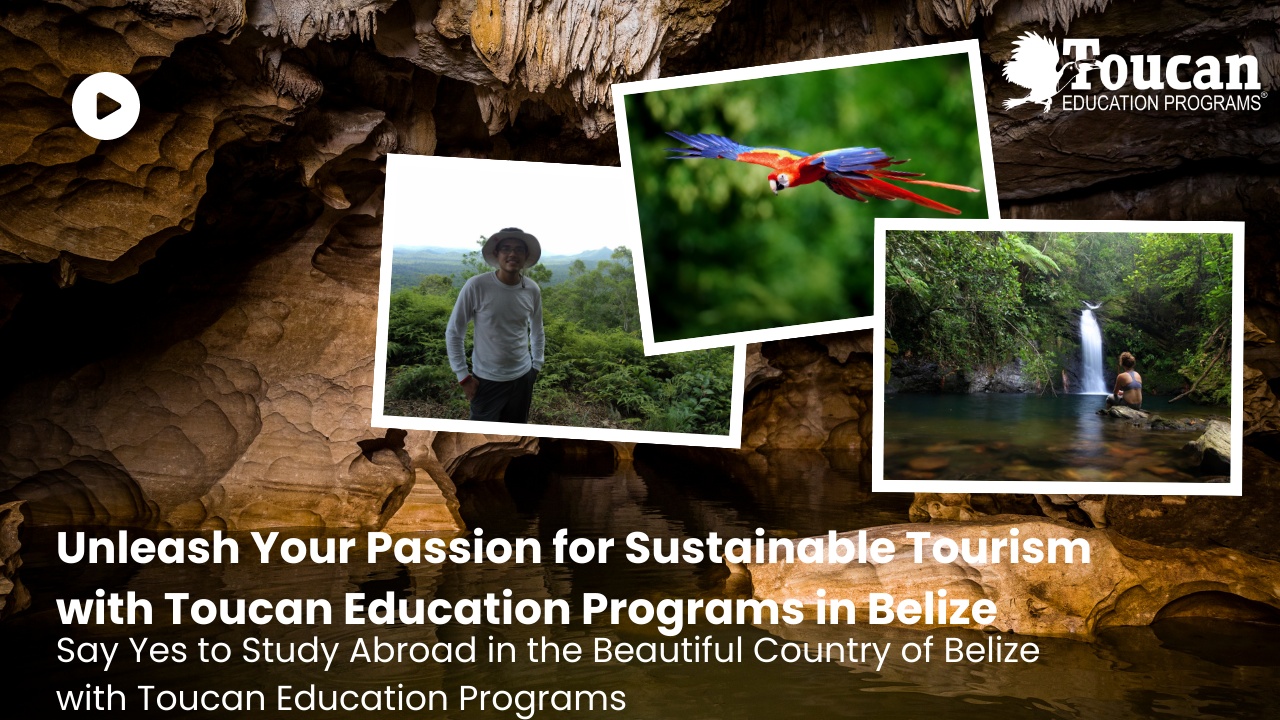 【中古】 Belize: Ecotourism in Action/MACMILLAN CARIBBEAN/Meb Cutlack Mainland Excursion | Belize City, Belize - Seeking Discovery