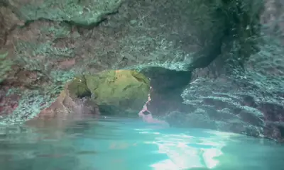 Perfect trip!
