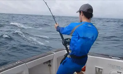 Sydney Report Video 0