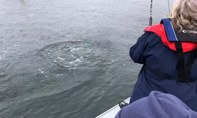 Tillamook Report Video 0