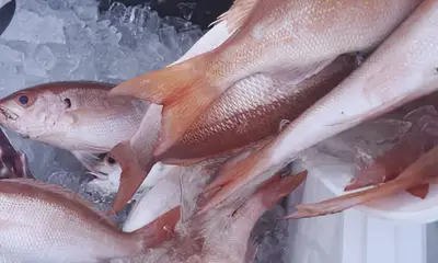 January fishing trip