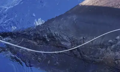 Excellent Fishing Trip Lots of Action