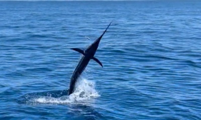 Quepos Verslag Video 0