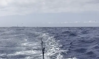 Double Marlin hookup!!!