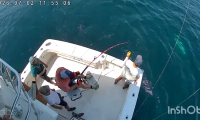 ???? GIANT BLUEFIN TUNA... keep them com