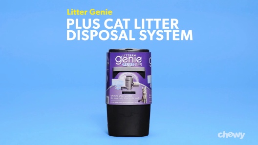 Play Video: Learn More About Litter Genie From Our Team of Experts